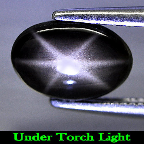 Genuine Cabochon Black Star Sapphire 1.47ct 8.6 x 6.0mm Oval Opaque