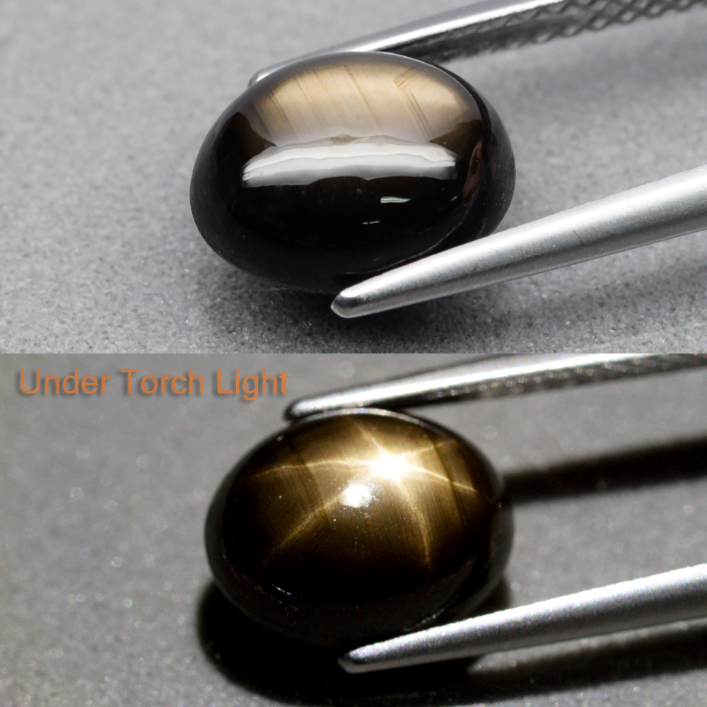Genuine Cabochon Black Star Sapphire 3.70ct 9.0 x 7.2mm Oval Opaque 