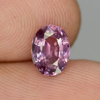 Genuine 100% Natural PURPLE SAPPHIRE 1.51ct 8.1 x 6.2 x 4.0mm Pear (Certified)