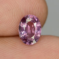 Genuine Purple Sapphire 1.51ct 7.7x5.7x3.6mm SI1 Madagascar
