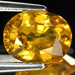 Genuine Yellow Sapphire 1.65ct 12.0 x 8.3 x 5.8mm Thailand VS1