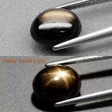 Genuine Cabochon Black Star Sapphire 3.70ct 9.0 x 7.2mm Oval Opaque 
