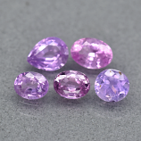 Genuine Purple Sapphires (5) 1.45cts VS Clarity from Ceylon
