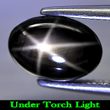 Genuine Cabochon Black Star Sapphire 1.95ct 8.8 x 6.2mm Oval Opaque