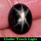 Genuine Cabochon Black Star Sapphire 4.38ct 10.3x7.7x5.2mm Opaque Thailand