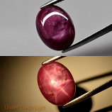 Genuine Cabochon Ruby 11.86ct 15.0 x 11.5mm Oval Opaque 